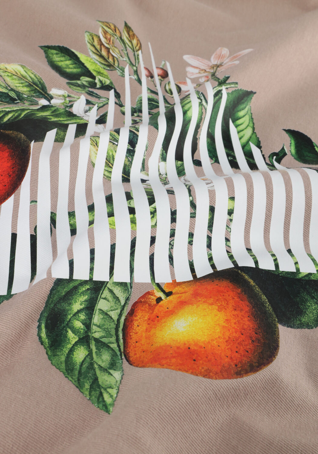 Taupe PURE PATH T-shirt TSHIRT WITH FRONT AND BACK PRINT - large