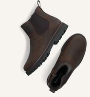Bruine TIMBERLAND Chelsea boots COURMA KID Bruine TIMBERLAND Chelsea boots COURMA KID - medium