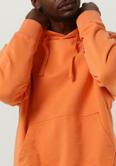 Oranje TOMMY JEANS Sweater TJM RLX XS BADGE HOODIE - large