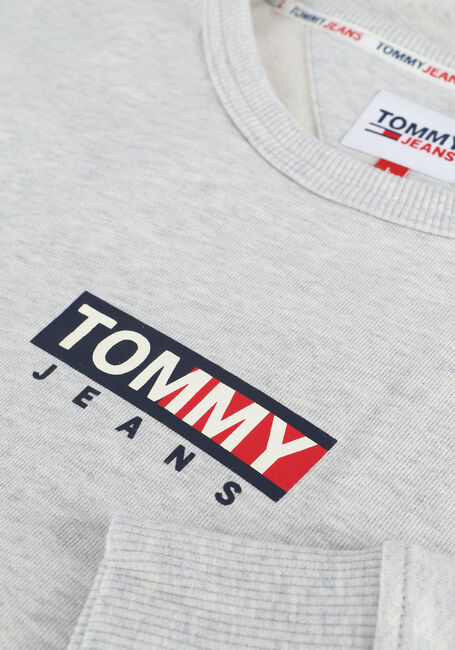 Lichtgrijze TOMMY JEANS Sweater TJM ENTRY GRAPHIC CREW - large