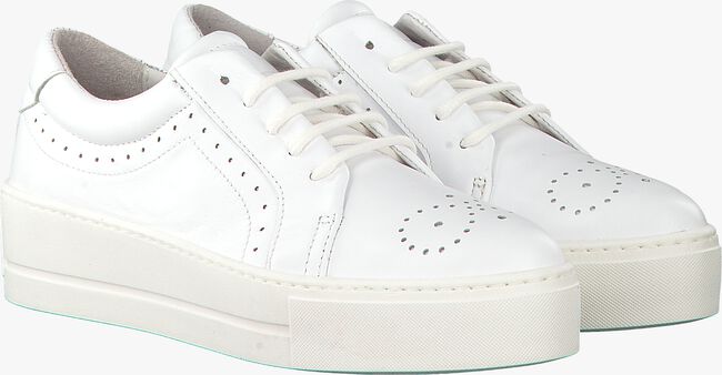 Witte ROBERTO D'ANGELO Sneakers ELY  - large