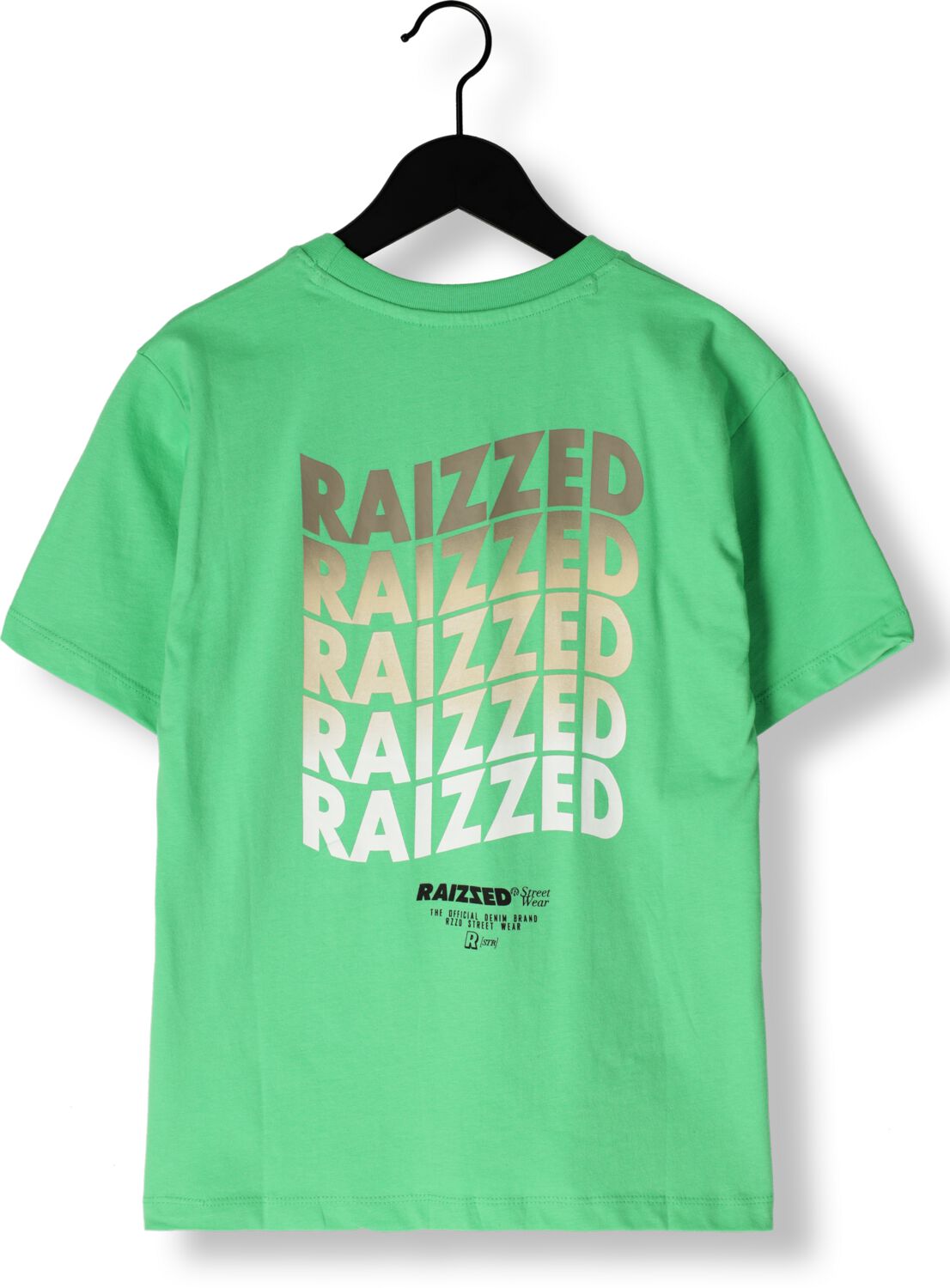 RAIZZED Jongens Polo's & T-shirts Haw Groen