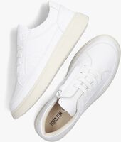 Witte TON & TON Lage sneakers FELIPE - medium