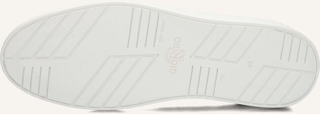 GIORGIO 13781 GIORGIO 13781 - large
