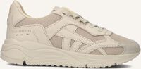 Beige NUBIKK Lage sneakers ROSS NOMAD JR - medium