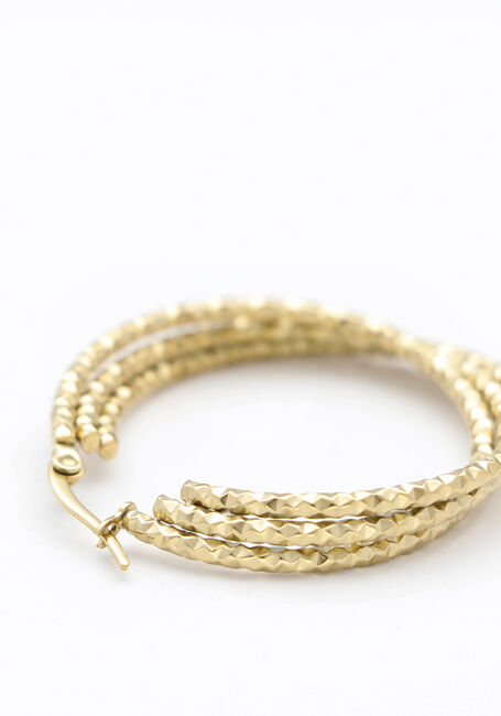 Goudkleurig NOTRE-V Oorbellen EARRING DOUBLE RING - large