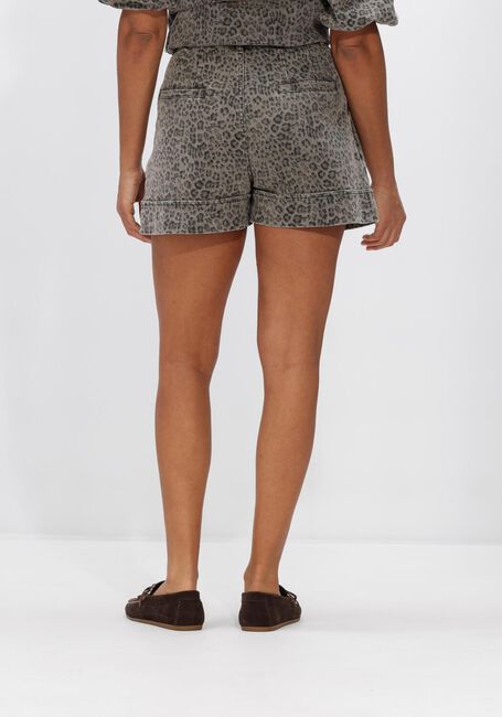 Grijze JANICE Korte broek ARTHUR - large