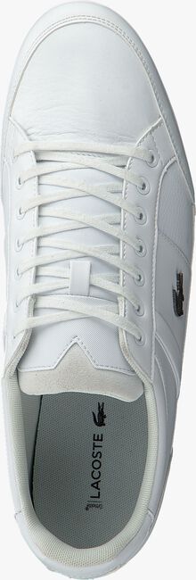 Witte LACOSTE Lage sneakers CHAYMON BL - large