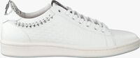 Witte FLORIS VAN BOMMEL Sneakers 85251 - medium