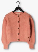 Roze SCOTCH & SODA Vest KNITTED CREWNECK CARDIGAN WITH PUFFED SLEEVES