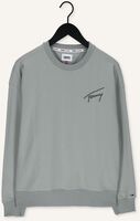 Groene TOMMY JEANS Sweater TJM TOMMY SIGNATURE CREW Groene TOMMY JEANS Sweater TJM TOMMY SIGNATURE CREW - medium