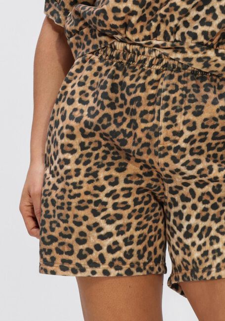 Multi JANICE Korte broek RIOTT - large