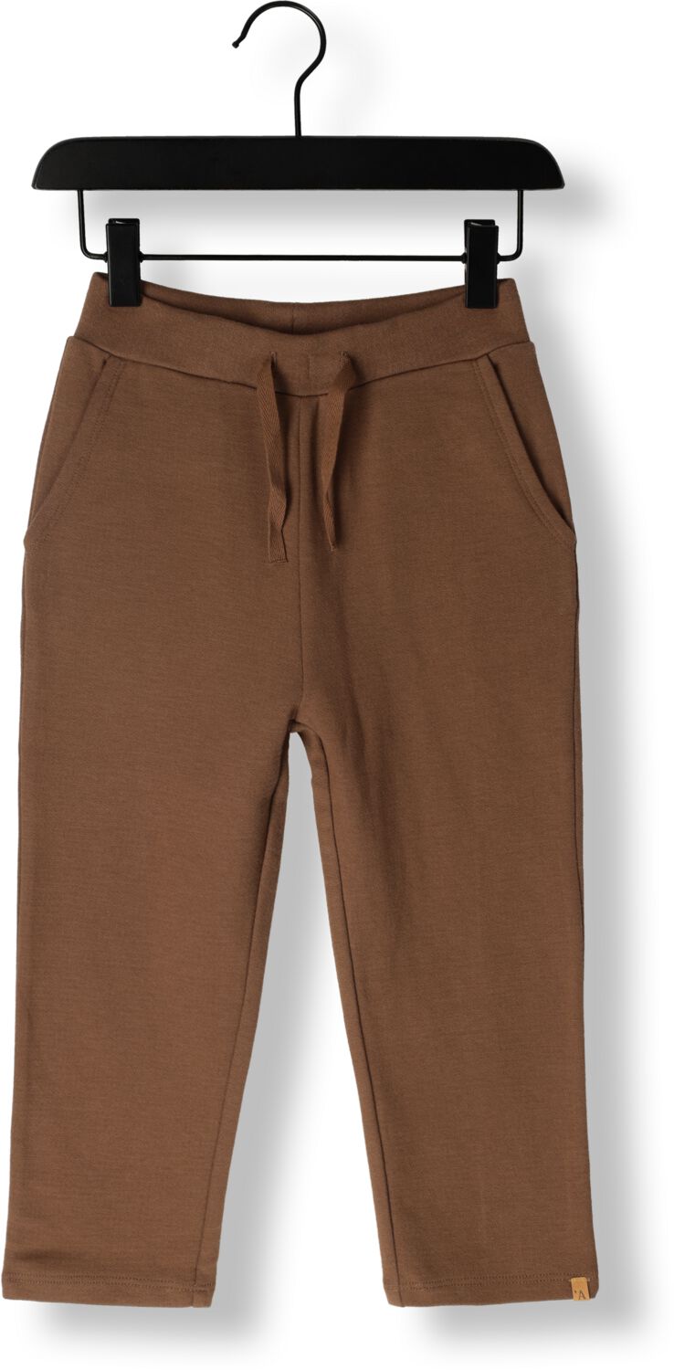 LIL' ATELIER Jongens Broeken Nmmdicard Pant Bruin