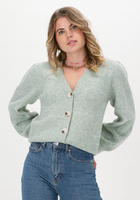 Groene NEO NOIR Vest GIMMA KNIT CARDIGAN - large