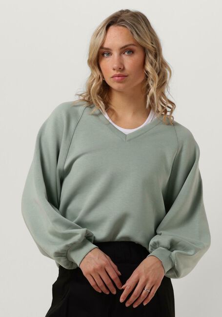 Groene MSCH COPENHAGEN Sweater MSCHNELINA IMA Q RAGLAN V SWEATERSHIRT - large