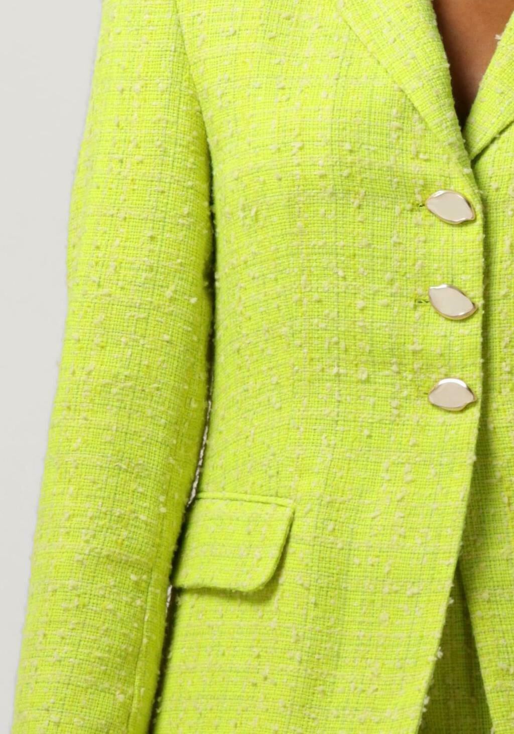 FABIENNE CHAPOT Dames Blazers Cher Blazer Lime