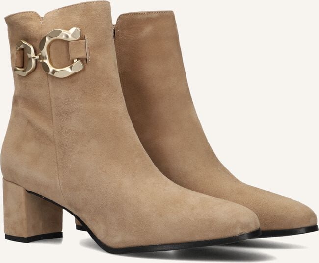 NOTRE-V 8558 NOTRE-V 8558 - large