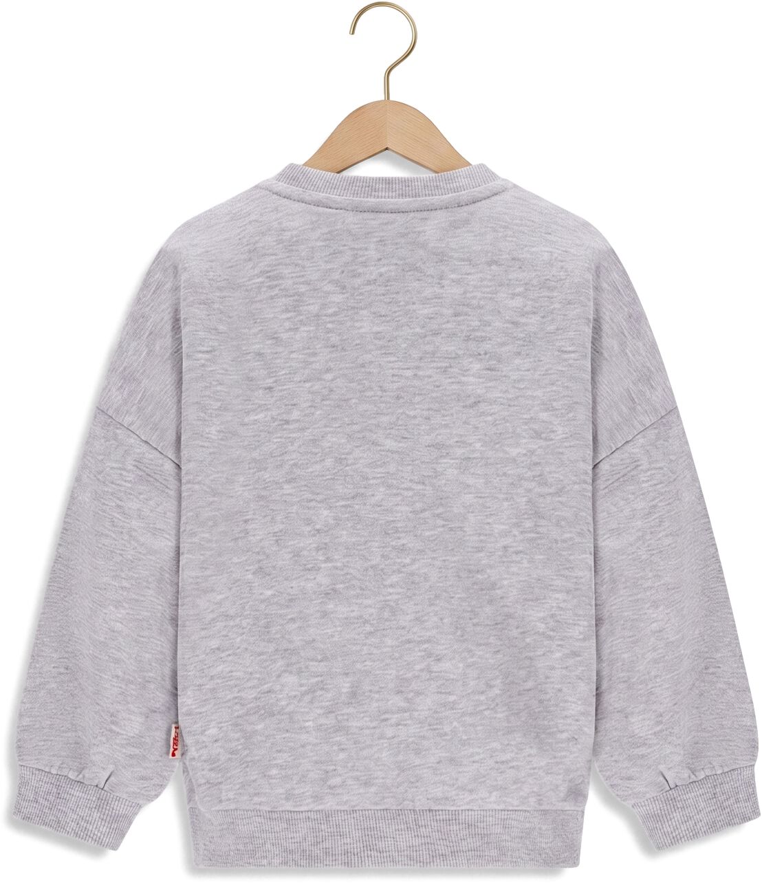 THE NEW CHAPTER Meisjes Truien & Vesten Billie Sweater Lichtgrijs