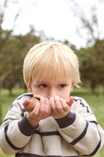 Beige PLAY UP Sweater STRIPED JERSEY SWEATER B - large