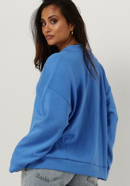 Lichtblauwe MSCH COPENHAGEN Trui MSCHPETUA IMA Q V SWEATSHIRT - large