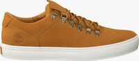 Camel TIMBERLAND Lage sneakers ADVENTURE 2.0 CUPSOLE ALPINE - medium