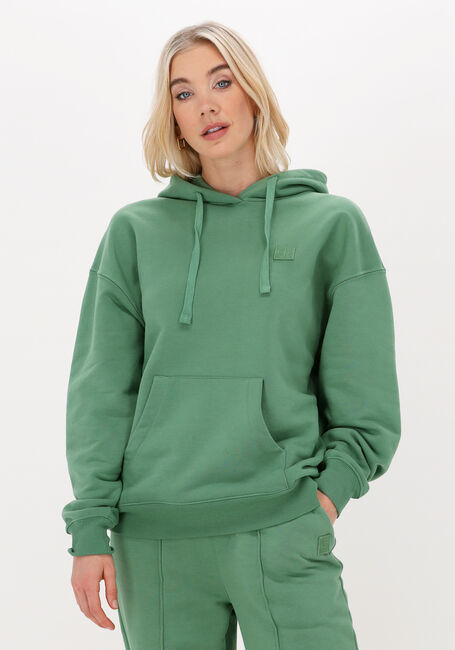 Groene COLOURFUL REBEL Sweater UNI OVERSIZED HOODIE - large