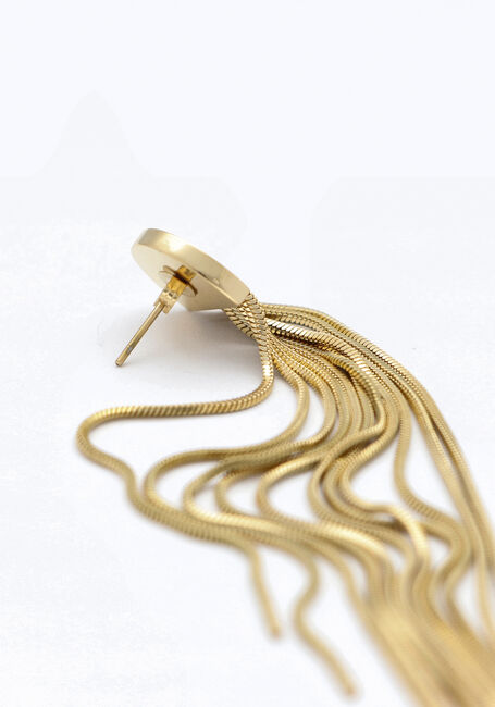 Goudkleurig NOTRE-V Oorbellen EARRING LONG - large