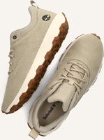 Beige TIMBERLAND Lage sneakers WINSOR PARK LOW Beige TIMBERLAND Lage sneakers WINSOR PARK LOW - medium