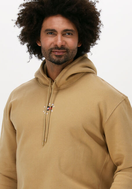 Khaki TOMMY JEANS Sweater TJM TINY TOMMY CIRCULAR HOODIE - large