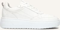 BLASZ ANEMONE-09 BLASZ ANEMONE-09 - medium