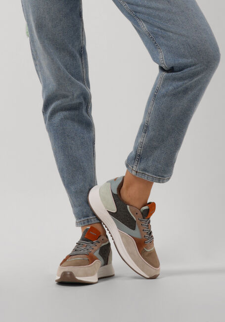 Taupe THE HOFF BRAND Lage sneakers BUCKINGHAM - large