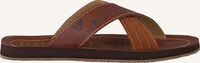 Cognac PME LEGEND Slippers HAIG - medium