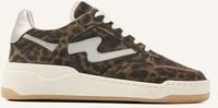 Bruine VIA VAI Lage sneakers SAM LEVI Bruine VIA VAI Lage sneakers SAM LEVI - medium