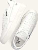 Witte ANTONY MORATO Lage sneakers MMFW01671 Witte ANTONY MORATO Lage sneakers MMFW01671 - medium