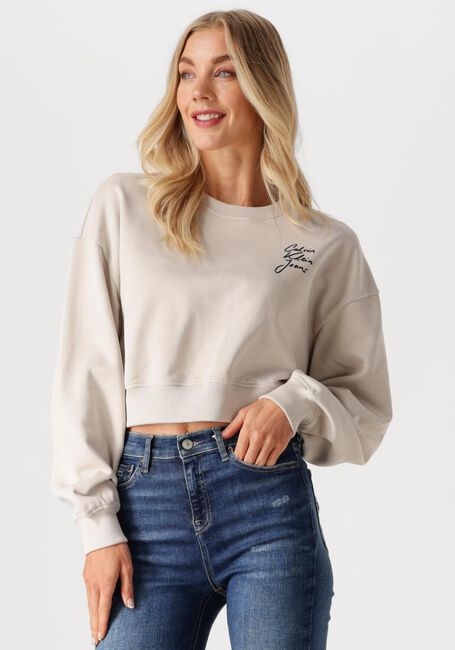 Beige CALVIN KLEIN Sweater SCRIPT INSTITUTIONAL CREWNECK - large