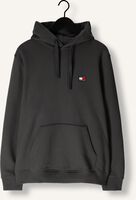 Donkergrijze TOMMY JEANS Sweater TJM REG BADGE HOODIE EXT Donkergrijze TOMMY JEANS Sweater TJM REG BADGE HOODIE EXT - medium