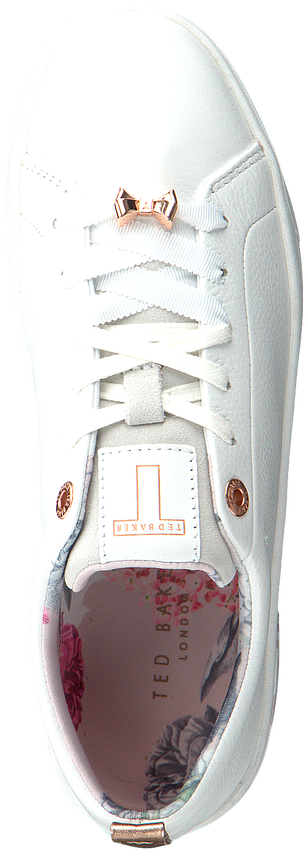 ted baker kelleip trainers