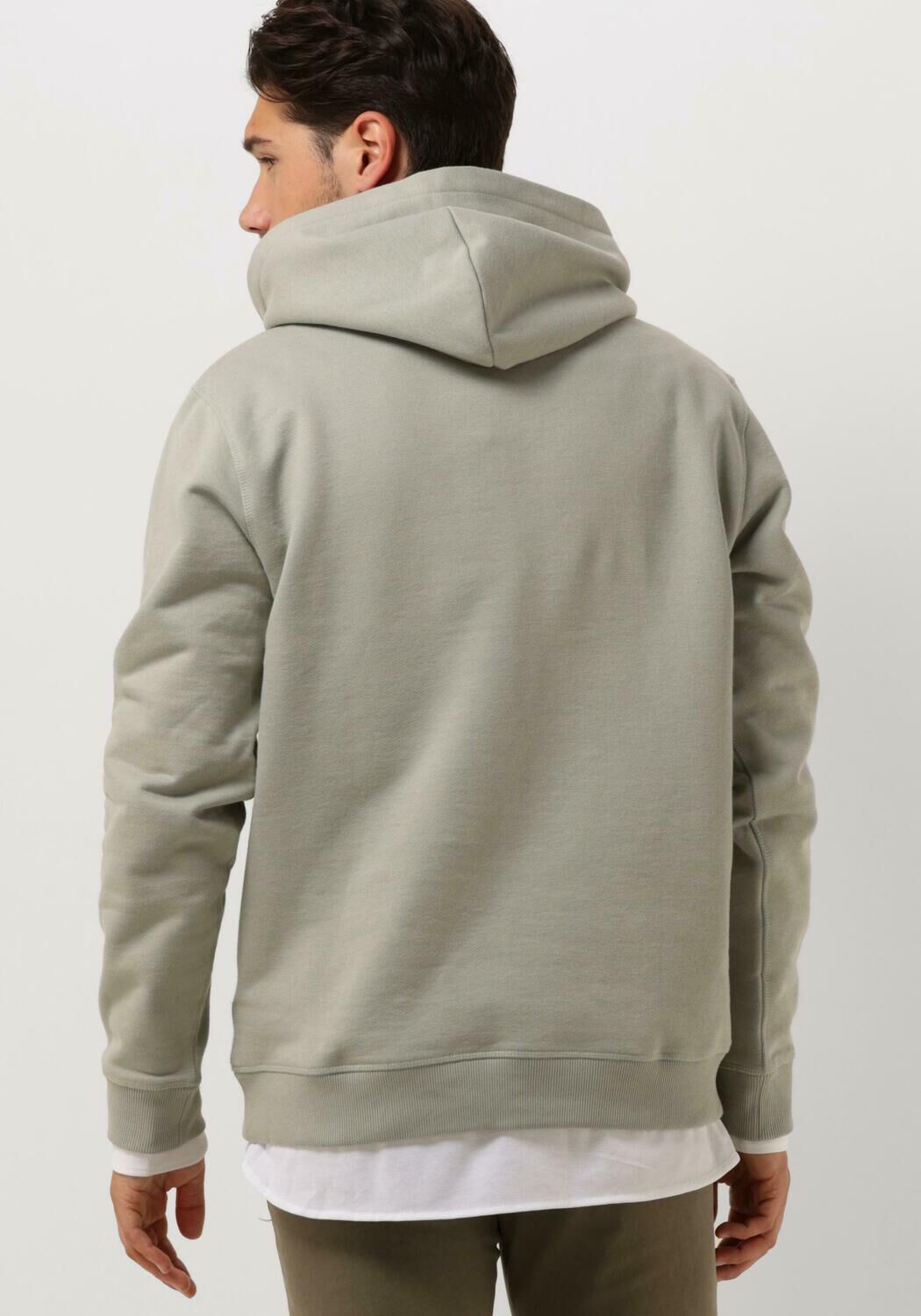 TOMMY JEANS Heren Truien & Vesten Tjm Reg Bold Classics Hoodie Ext Groen