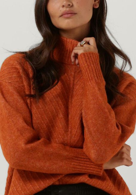 Roest SELECTED FEMME Coltrui SIF SISSE LS KNIT HIGHNECK - large