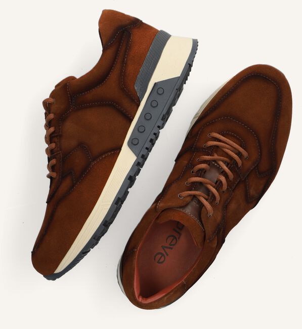 Bruine GREVE Lage sneakers HAARLEM K Bruine GREVE Lage sneakers HAARLEM K - large