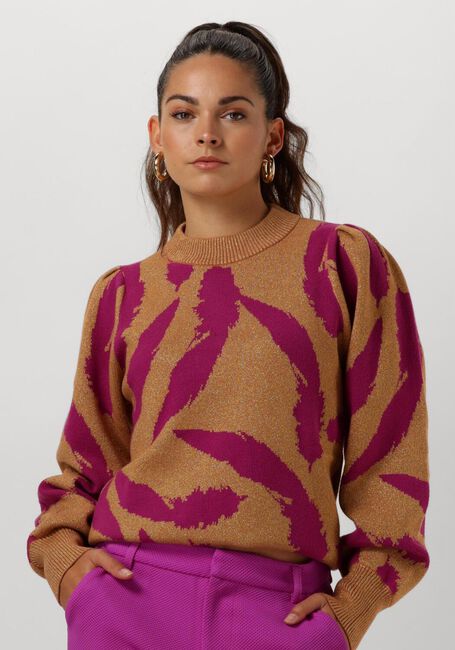 Bruine POM AMSTERDAM Trui PULLOVER - FEATHERS SPARKLE - large