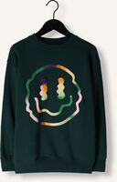 Donkergroene MOLO Sweater MAGNI Donkergroene MOLO Sweater MAGNI - medium