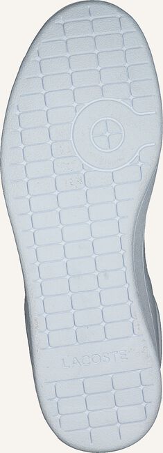 Witte LACOSTE Lage sneakers CARNABY EVO 220 Witte LACOSTE Lage sneakers CARNABY EVO 220 - large