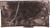 339710 339710 - swatch
