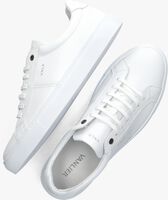 Witte VAN LIER Lage sneakers 2411000 - medium