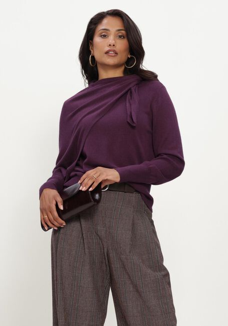 Paarse CAROLINE BISS Trui 4205 - large