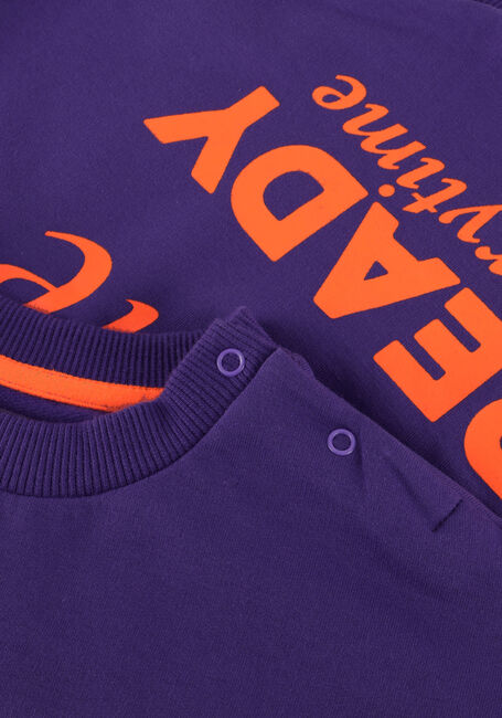 Paarse Z8 Trui TEUN - large