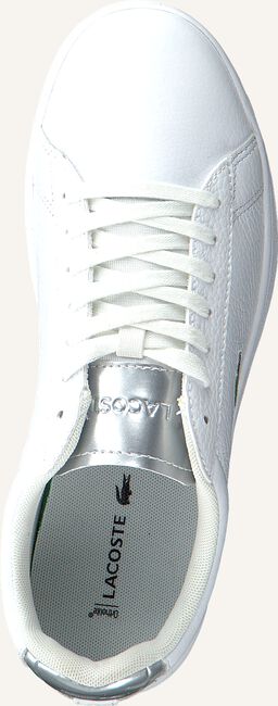 Witte LACOSTE Lage sneakers CARNABY EVO 220 Witte LACOSTE Lage sneakers CARNABY EVO 220 - large