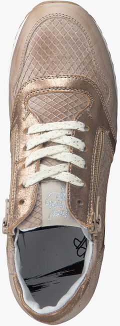 Taupe RED RAG Sneakers 15228  - large