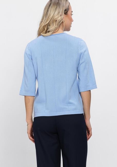 Lichtblauwe BRUUNS BAZAAR Top ANEMONEBBGLIANDRA KNIT - large